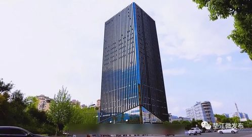 墊江 揚帆啟航高新路，數字技術服務賦能縣域發(fā)展新篇章